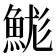𩷙