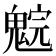 𩳚