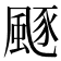 𩗛