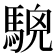 𩤖