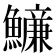 𩼖