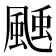 𩗝