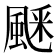 𩗞