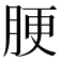 𦛟
