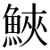 𩷟