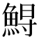 𩷥