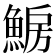𩸗