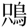 𩿦