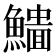 𩻨