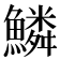 鱗