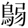 𩿴