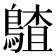 𪃵