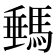 𩣷