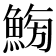 𩷸