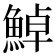 𩷹