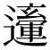 𨘙