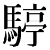 𩤙
