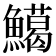𩼙