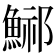 𩷾