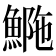 𩷿