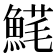 𩸚