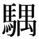 𩤛