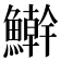 𩼛