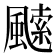𩘝