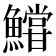 𩼝
