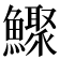 𩼦
