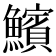 𩼧