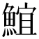 𩸨