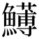 𩼬