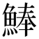 𩸮