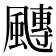 𩘯
