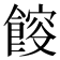 𩜯