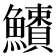 𩼱