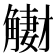 𧤳