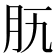 𦘵