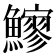 𩼶