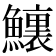 𩼆