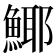 𩸾
