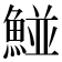 𩹁