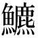 𩽁