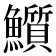 𩽄