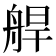 𦩅