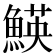 𩹅