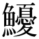 𩽇
