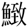 𩹈