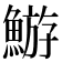 𩹊